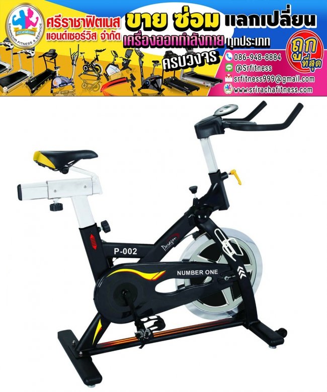 จักรยานสปินไบค์ SR FITNESS - Spin bike P02